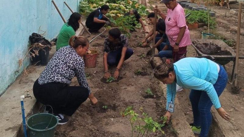 ANZOÁTEGUI | Inces impulsa soberanía alimentaria con formación en Agricultura Urbana