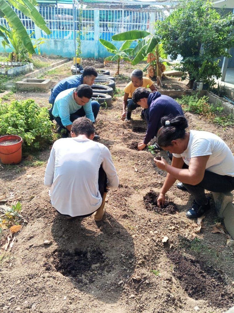 ANZOÁTEGUI | Inces impulsa soberanía alimentaria con formación en Agricultura Urbana - inline